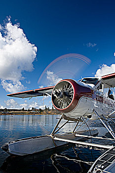 海狸,水上飞机,坎贝尔河,温哥华岛,不列颠哥伦比亚省,加拿大