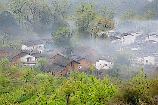 山村春色