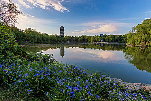 北京大学