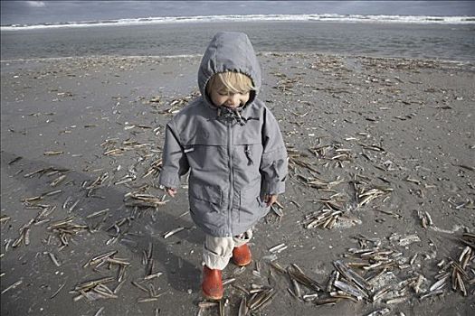 幼儿,走,海滩,阿默兰岛,弗里斯兰省,荷兰