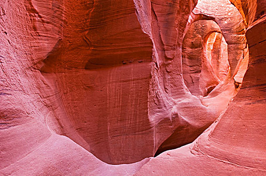 沙岩构造,躲猫猫,冲沟,大阶梯-埃斯卡兰特国家保护区,犹他