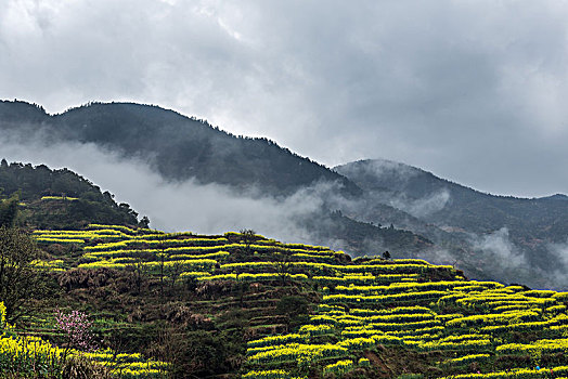 画里乡村篁岭