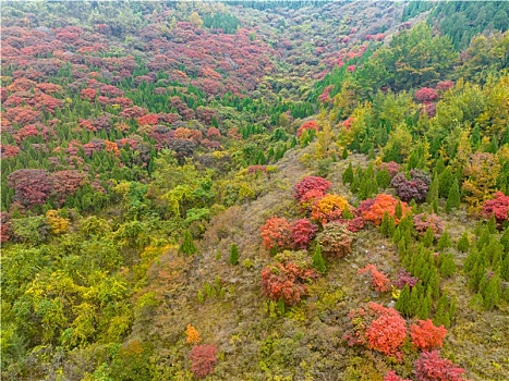 航拍济南彩石捎近村红叶