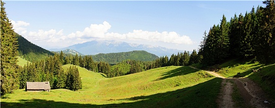 老,木头,小屋,喀尔巴阡山脉,松树