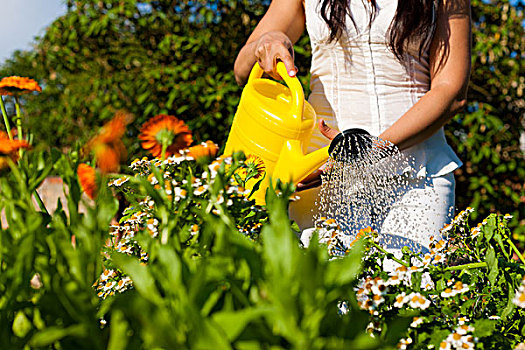 园艺,夏天,女人,浇水,花,黄色,洒水壶