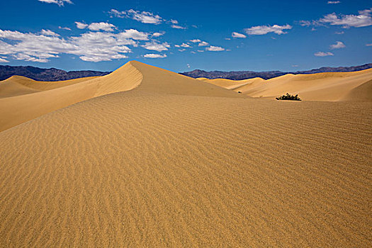 沙漠,死亡谷国家公园,加利福尼亚