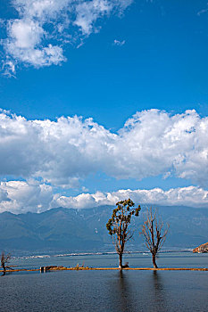 云南大理海东镇洱海湿地