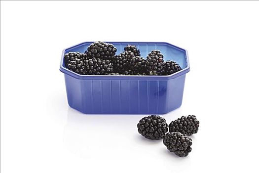 黑莓,塑料盒