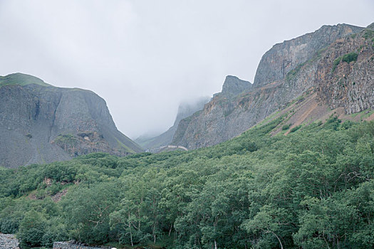 长白山森林峡谷