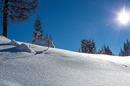 积雪,冬季风景,逆光,滑雪,区域,萨尔茨堡,陆地,奥地利