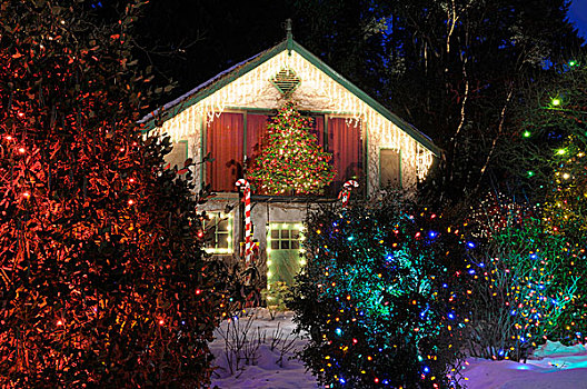 加拿大,不列颠哥伦比亚省,维多利亚,圣诞灯光,小屋,布查特花园