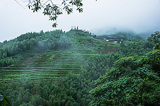 雨雾山景