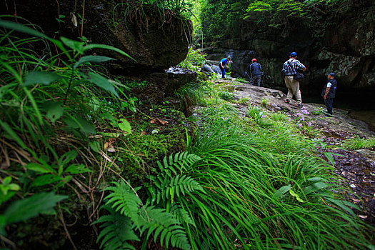 石头,鹅卵石,小溪,山石,山泉