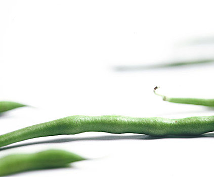 绿色植物,豆,白色背景