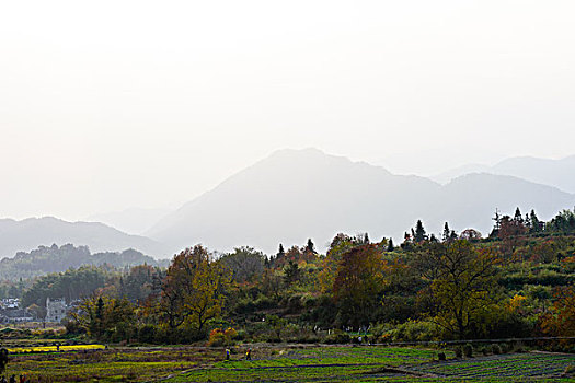 塔村求精