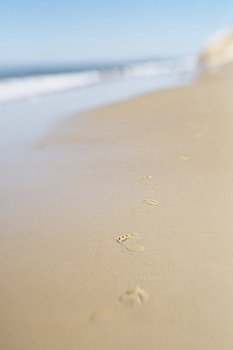 脚印,沙子,海滩,玛莎葡萄园,马萨诸塞,美国