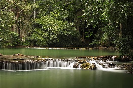 树林,瀑布,国家公园,靠近,甲米,泰国,亚洲