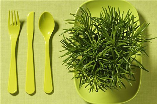 餐具,植物,盘子