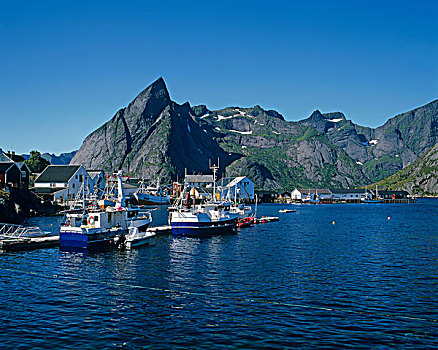 渔船,港口,岛屿,罗浮敦群岛,挪威,斯堪的纳维亚,欧洲