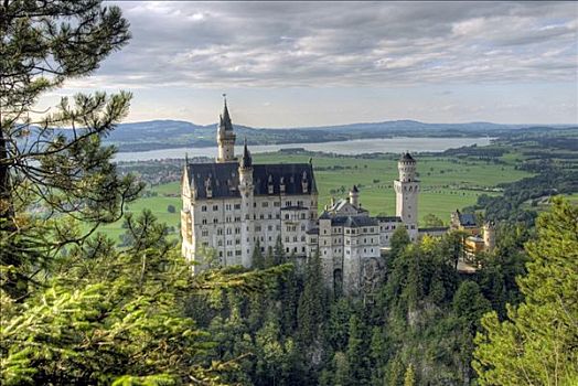 新天鹅堡,宫殿,巴伐利亚,德国,欧洲