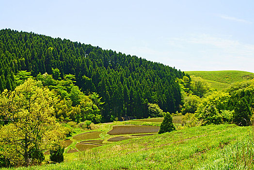 稻田,熊本,日本