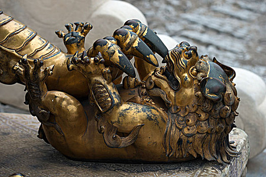 金色,黑色,雕塑,爪,攻击,动物,北京,中国