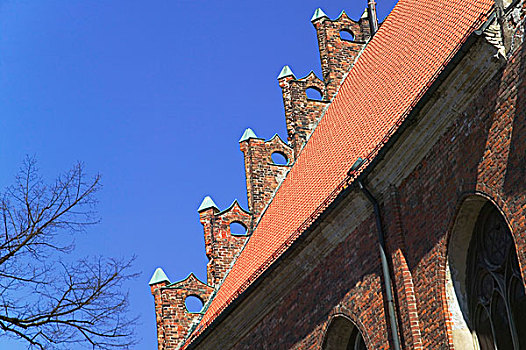 传统,房子,红色,屋顶,里加,拉脱维亚