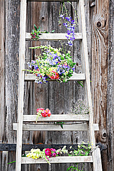 花,木质,梯子