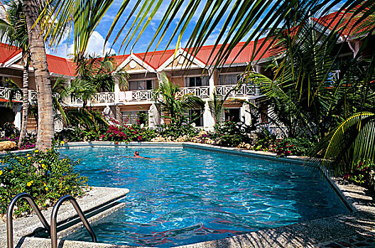 多巴哥岛,礁石,胜地,游泳池