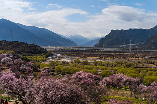 西藏林芝嘎啦桃花村