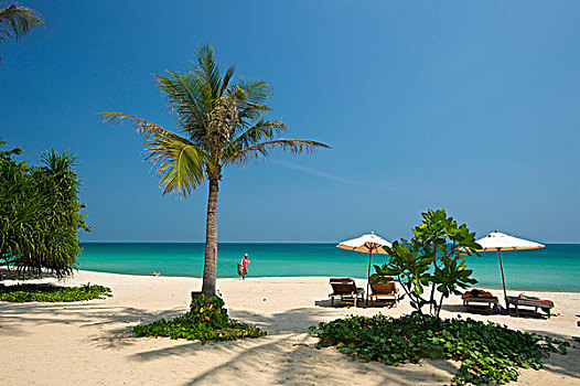 棕榈海滩,海滩,苏梅岛,岛屿,泰国,亚洲