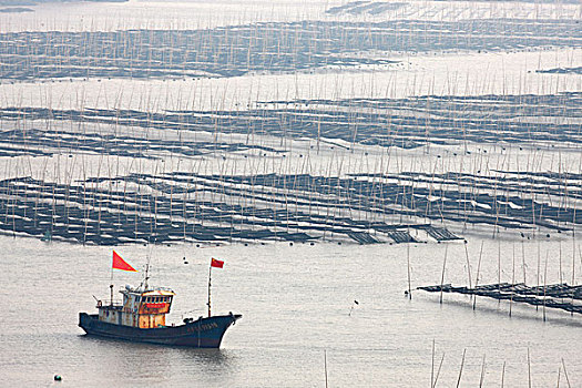 海水养殖