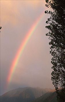 彩虹,洛迦诺,瑞士,提契诺河