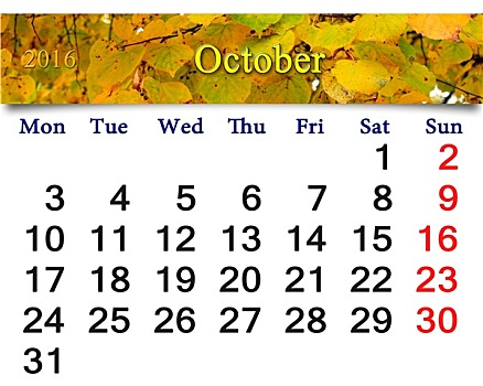 日程,十月,黄叶