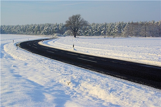 冬天,道路