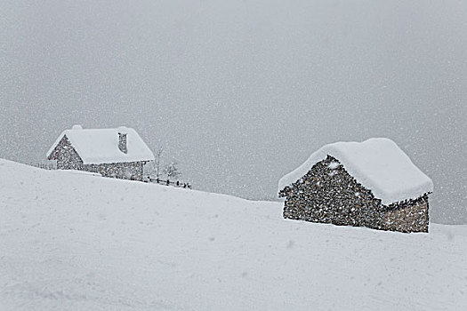 冬天,风景,高山,下雪,省,意大利,欧洲