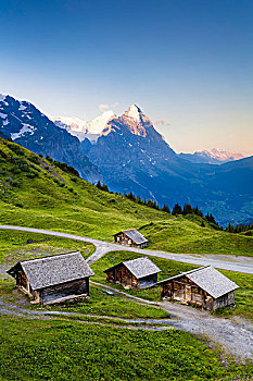 山,小屋,正面,攀升,艾格尔峰,日出,伯尔尼阿尔卑斯山,瑞士