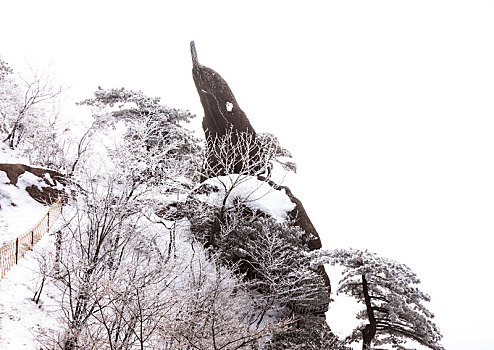 中国安徽黄山风景区,冬日雪后奇峰怪石林立,云雾飘渺宛若仙境