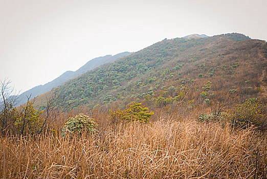 山岭冬色