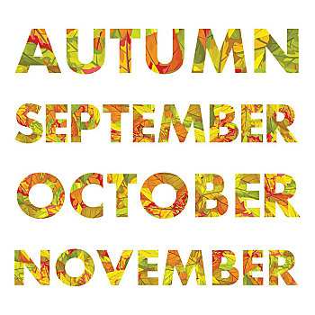 秋天,月份,矢量,插画,九月,十月,十一月,彩色,落叶,不同,树,自然,概念,日历,广告,设计