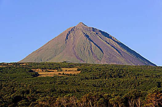 火山,风景,短柄槌球,皮库岛,亚速尔群岛,葡萄牙