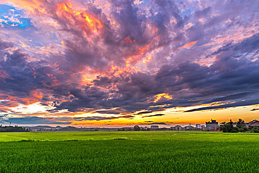 乡下的田野,美轮美奂的乡村景色