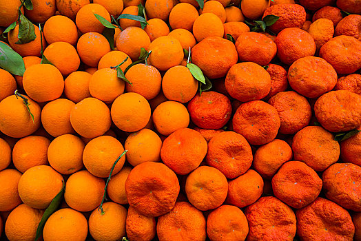 橘子,柑桔,出售,集市,苏莱曼尼亚,伊拉克,库尔德斯坦,亚洲