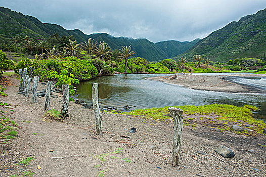 河流,湾,岛屿,莫洛凯岛,夏威夷