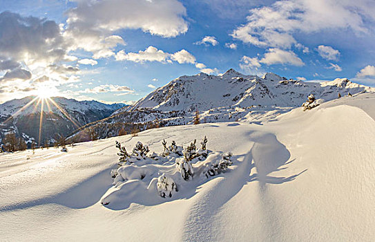 冬天,雪景,博尔米奥,意大利