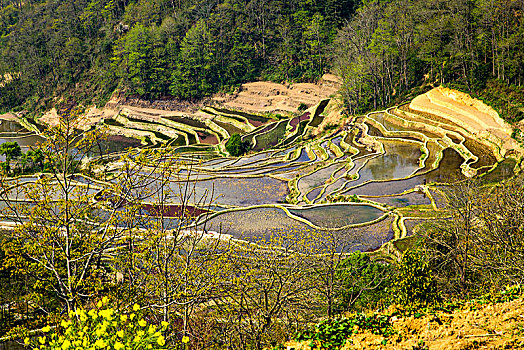 元阳哈尼梯田