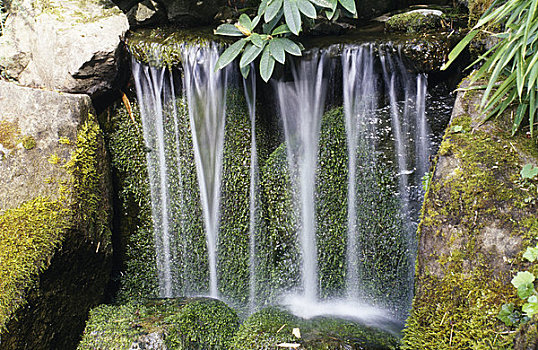 瀑布,花园,日式庭园,宝翠花园,维多利亚,不列颠哥伦比亚省,加拿大