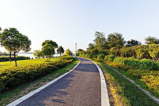 道路