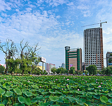 延吉市城中公园景观