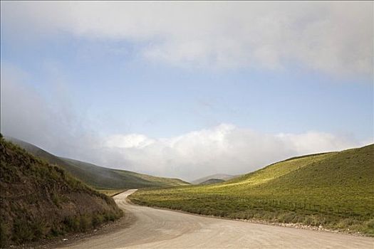 道路,国家公园,阿根廷,南美